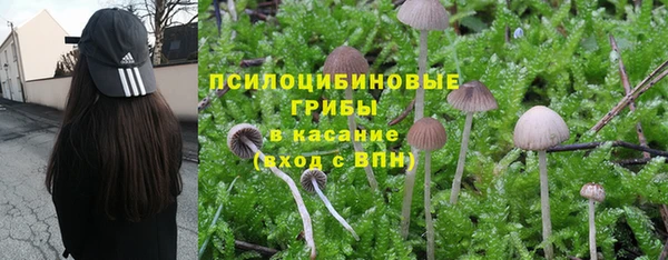 а пвп мука Алексеевка