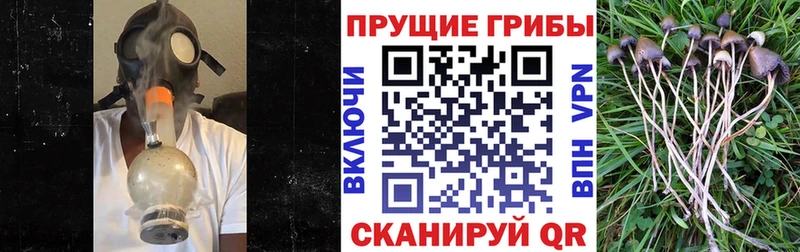 Псилоцибиновые грибы GOLDEN TEACHER  Ленинск 